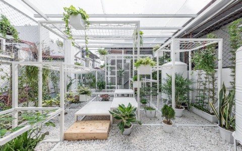 5 mẫu thiết kế vườn lan trên sân thượng đẹp mê mẩn